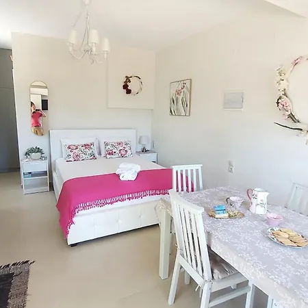 Odysseus Cozy Seaview Argostolion